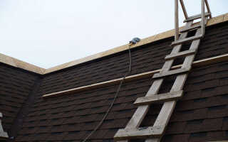 Назначение и установка лестницы для крыши