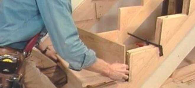 Чертежи деревянных лестниц своими руками: выбор типа лестницы. Параметры для проектирования