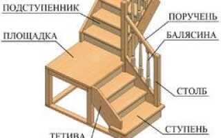 Элементы лестниц: разновидности и характеристика