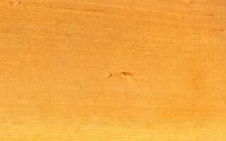 Лестницы из берёзы: свойства древесины, отзывы и фото