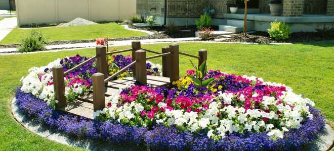 Декоративные ограждения для клумб из металла, дерева, бетона, пластика: заборы для дачи и сада