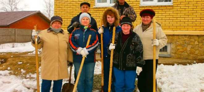 Давайте жить в чистоте!