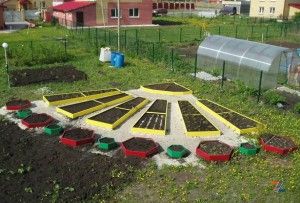 ограждения для грядок и клумб: садовая доска